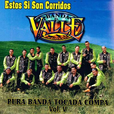 Estos Si Son Corridos "Pura Banda Tocada Compa," Vol. 5's cover