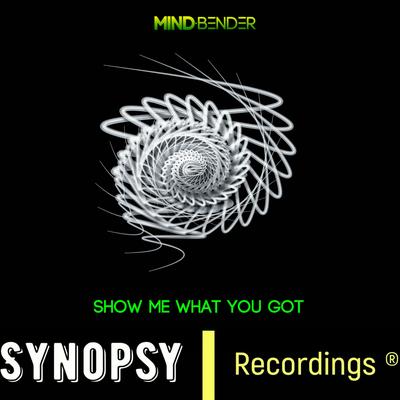 Show Me What You Got (Original Mix)'s cover