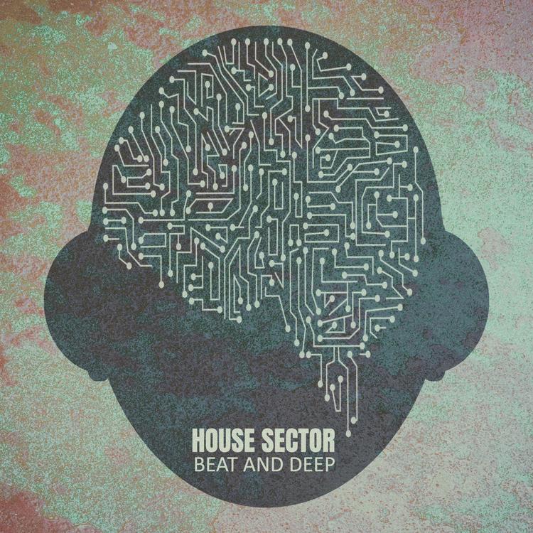 House Sector's avatar image