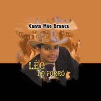 Léo do Forró's avatar cover