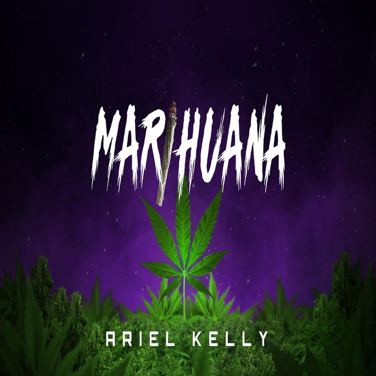 Ariel Kelly's avatar image