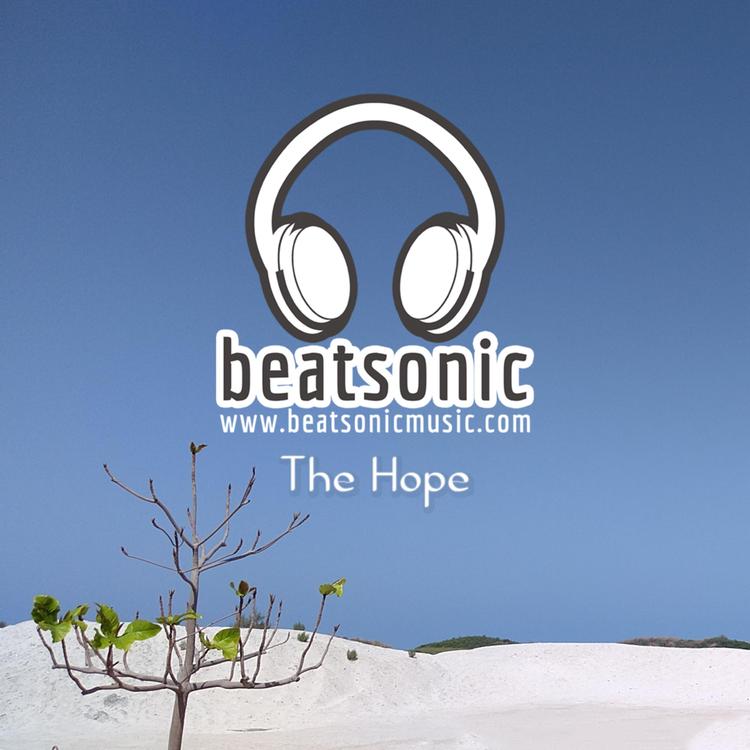 Beatsonic's avatar image