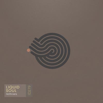 Devotion By Liquid Soul, Suduaya's cover