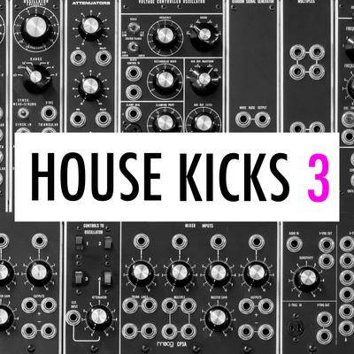 IbzaKngs House Kicks 053's cover