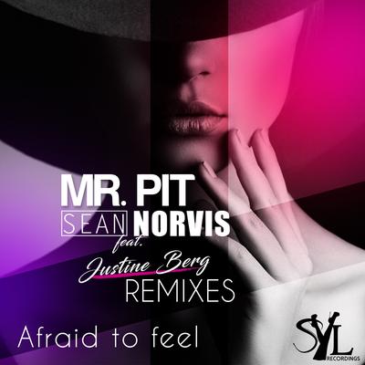 Afraid To Feel (Erick Fill Remix) By Mr. Pit, Sean Norvis, Justine Berg, Erick Fill's cover