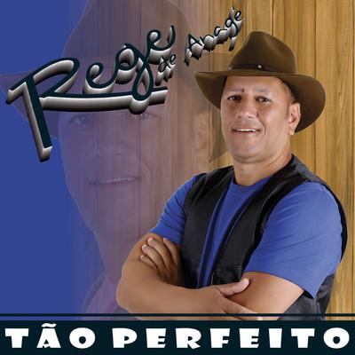 Tão Perfeito By Rege De Anagé, Flávio José's cover