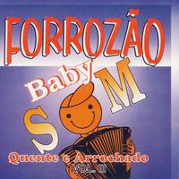 Forrozao Baby Som Vol. 3's avatar cover
