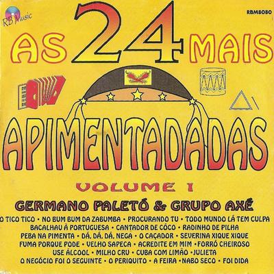 Germano Paletó & Grupo Axé's cover