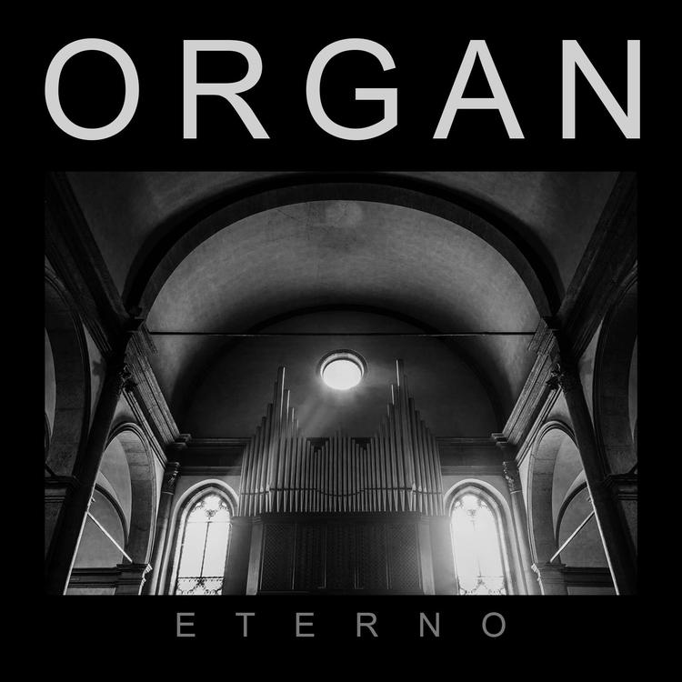 Organ's avatar image
