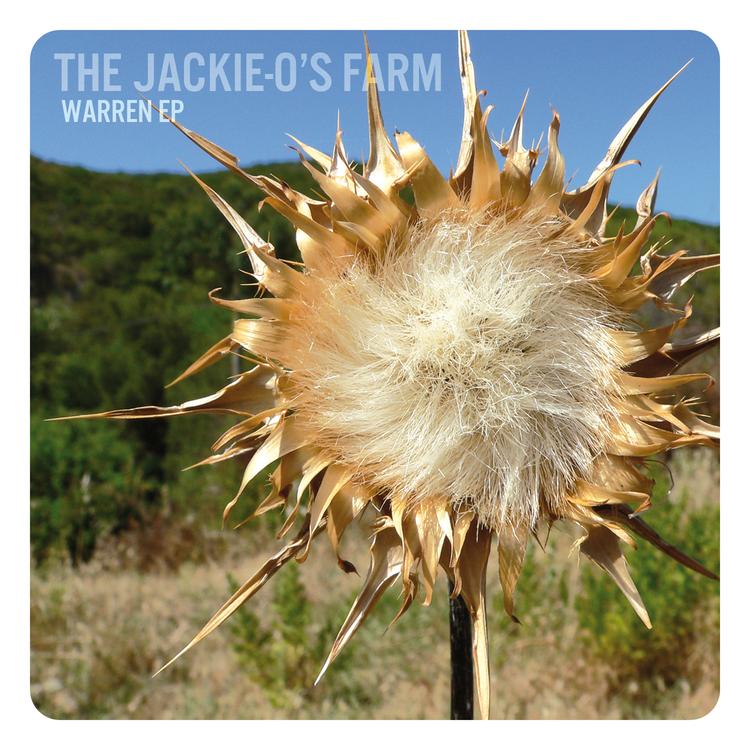 The Jackie-O's Farm's avatar image