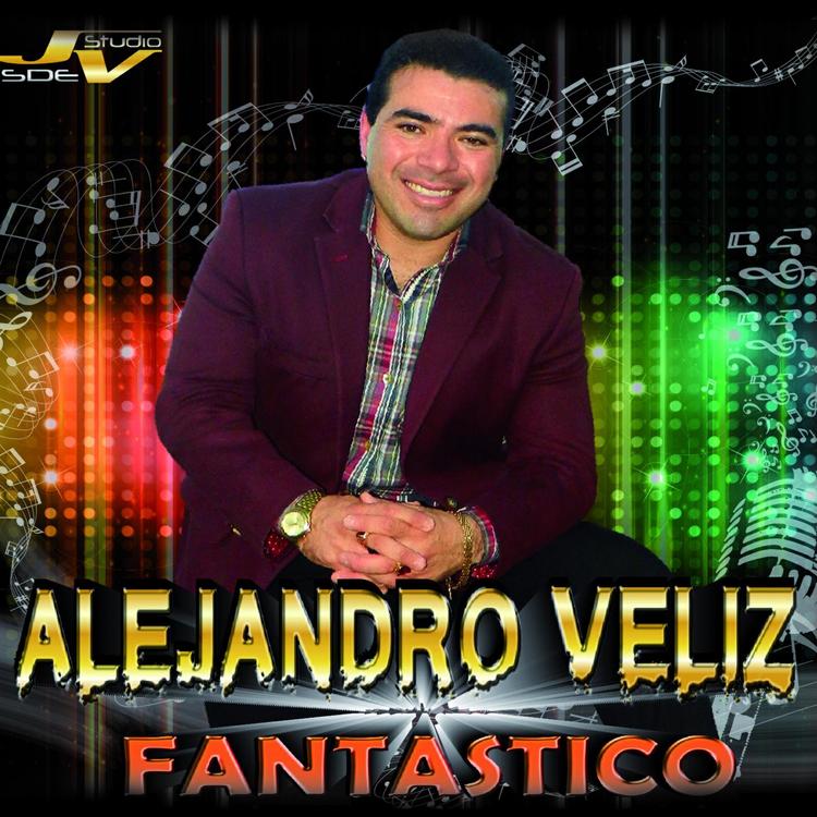 Alejandro Veliz's avatar image