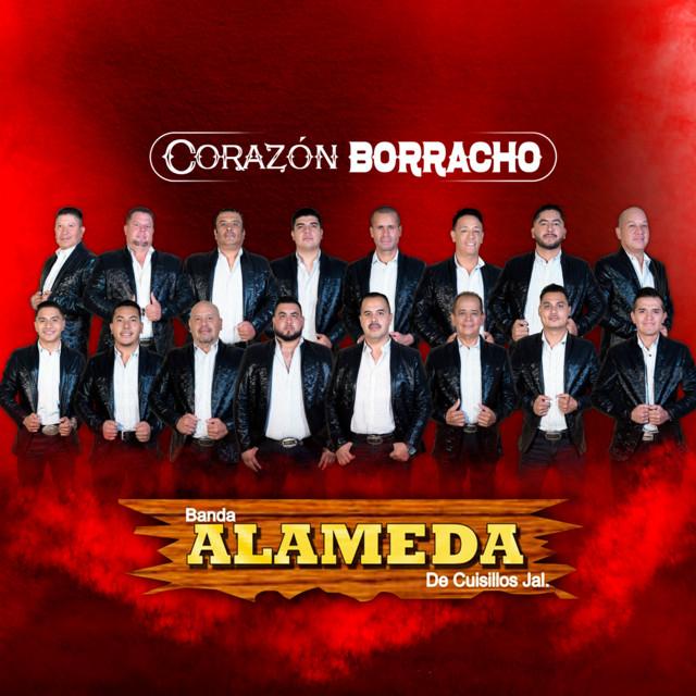Banda Alameda's avatar image