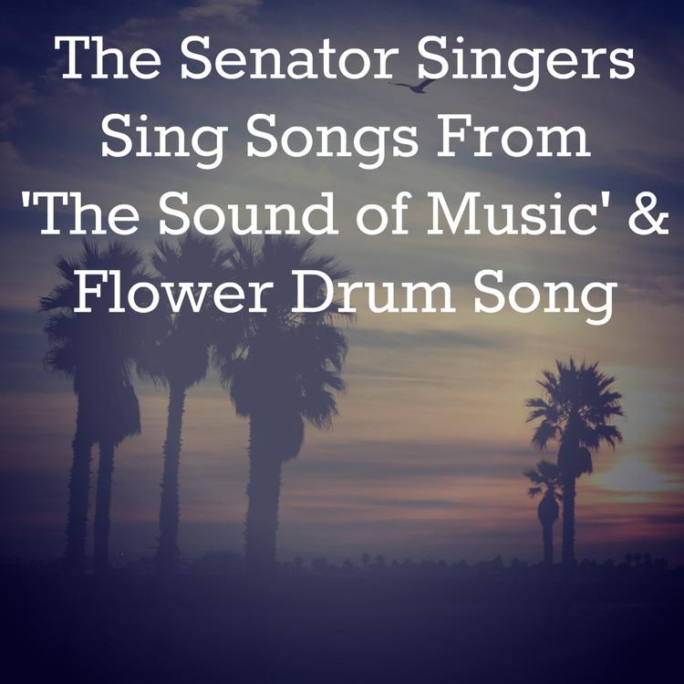 The Senator Singers's avatar image
