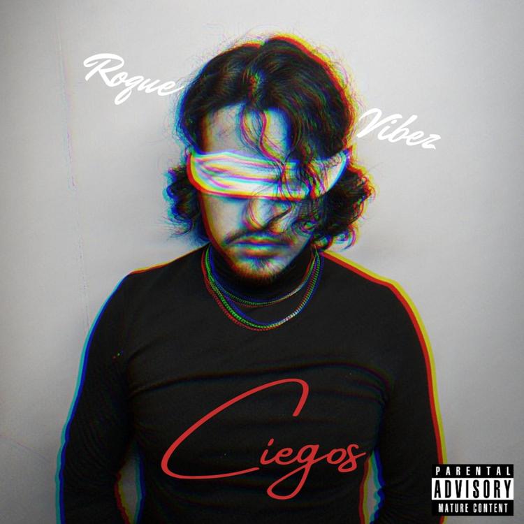 Roque Vibez's avatar image