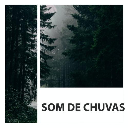 MINHA CHUVA PARA DORMIR 🌧️'s cover