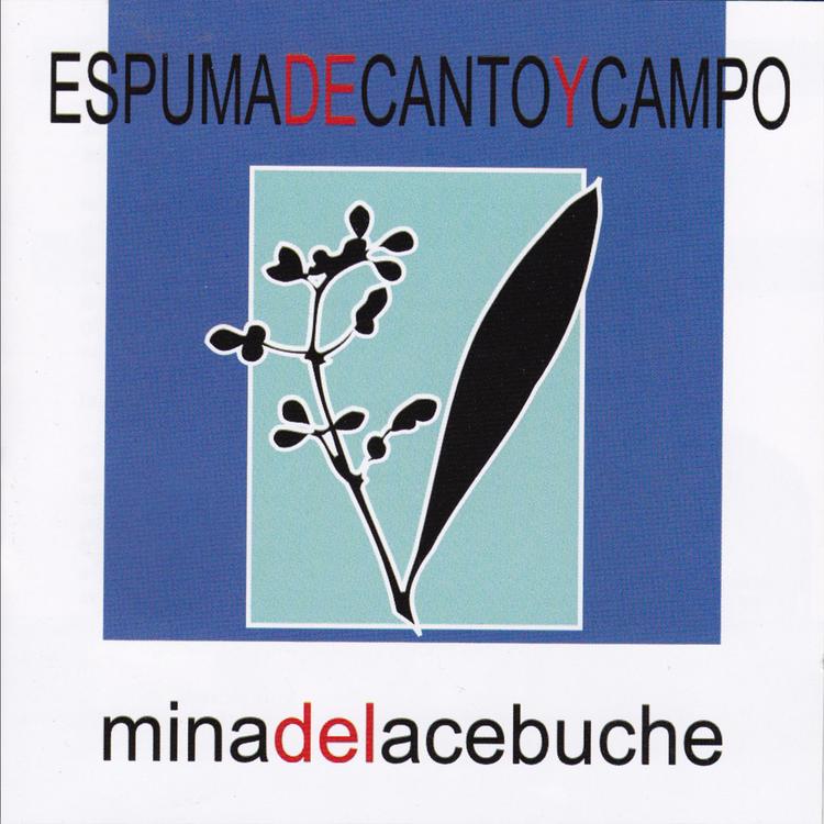 Espuma de Canto y Campo's avatar image