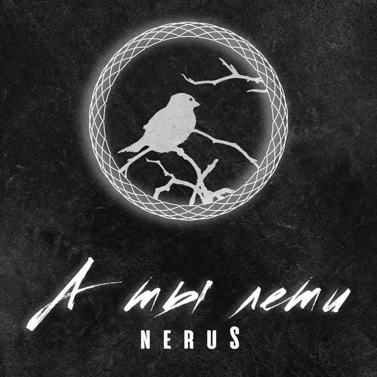 neruS's avatar image