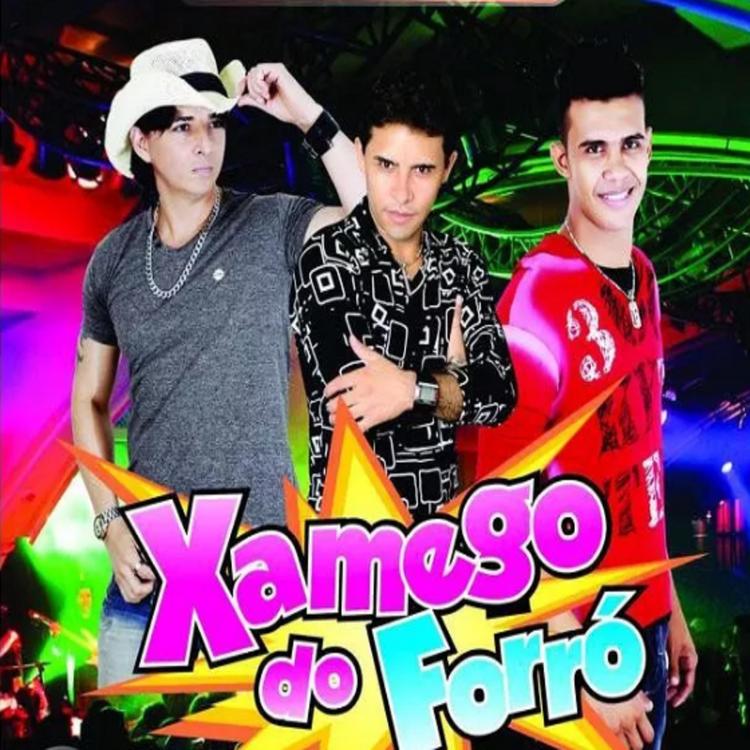 Xamego do Forró's avatar image