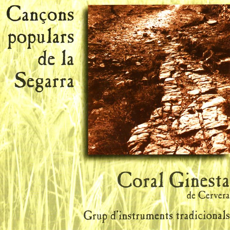 Coral Ginesta de Cervera's avatar image