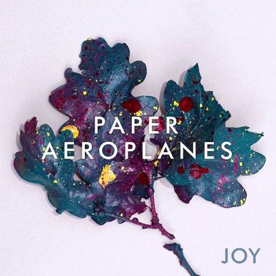 Paper Aeroplanes's cover