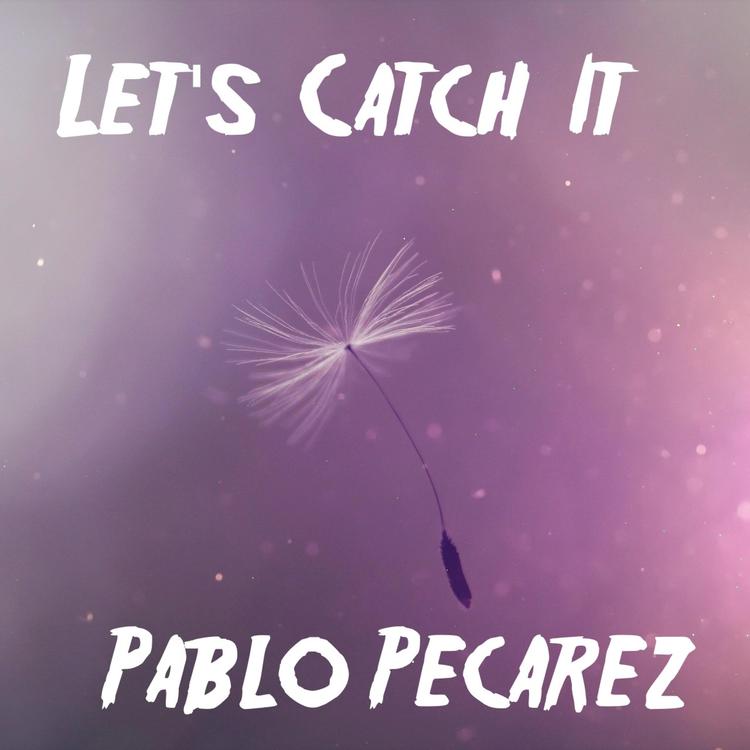 Pablo Pecarez's avatar image
