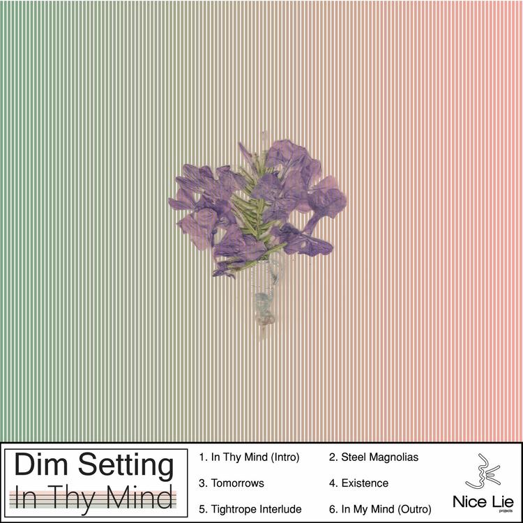Dim Setting's avatar image