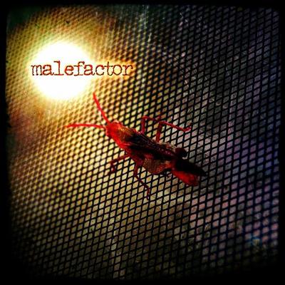 Malefactor's cover