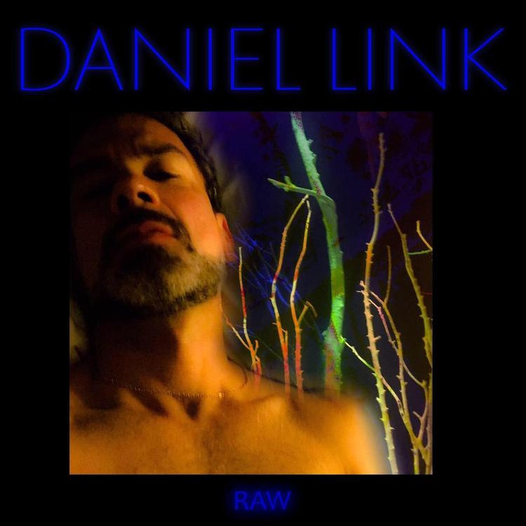 Daniel Link's avatar image