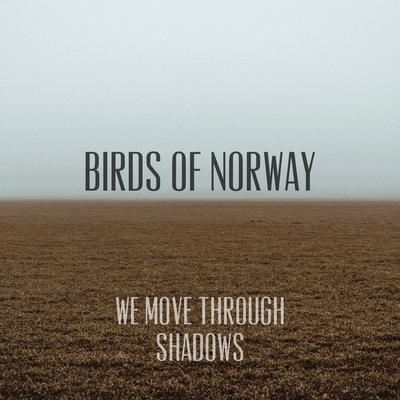 We Move Through Shadows By Birds of Norway's cover