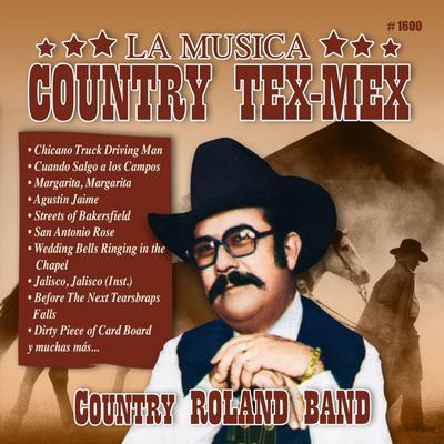 Echame A Mi La Culpa By Country Roland Band's cover
