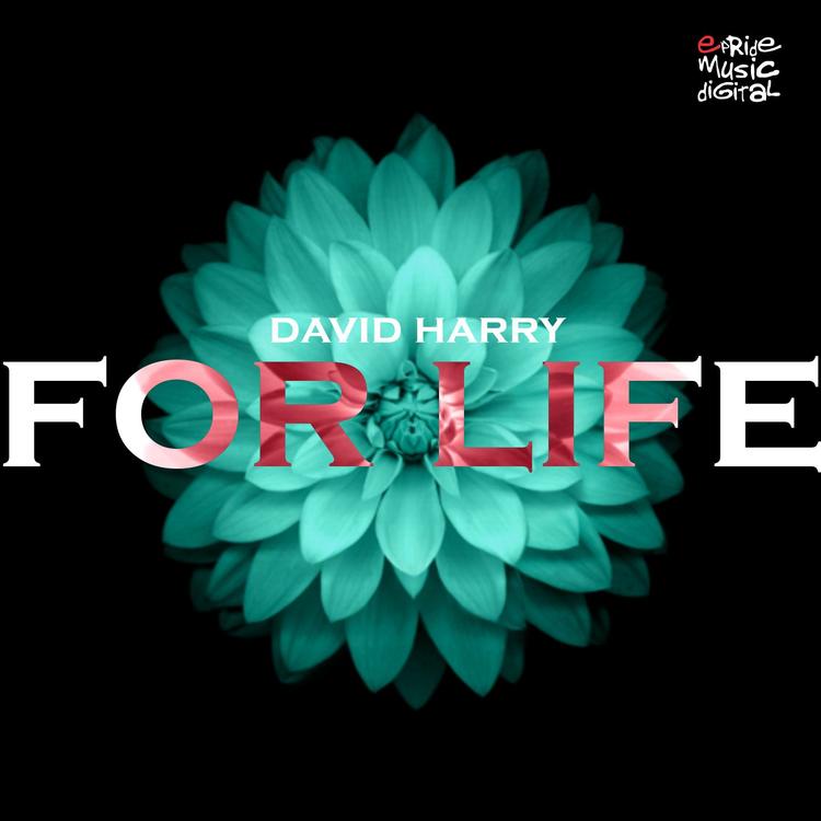 David Harry's avatar image