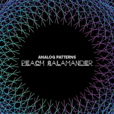 analog patterns's cover