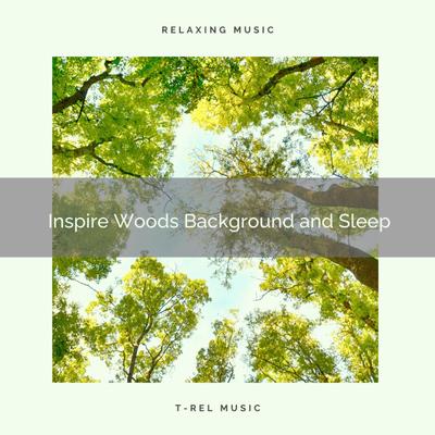 Natural Woodland Sounds's cover