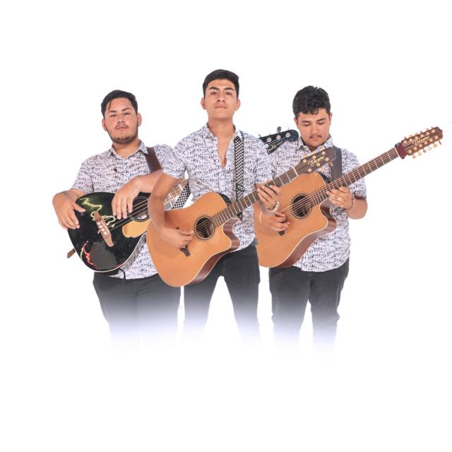 Grupo Los Chavalones's avatar image