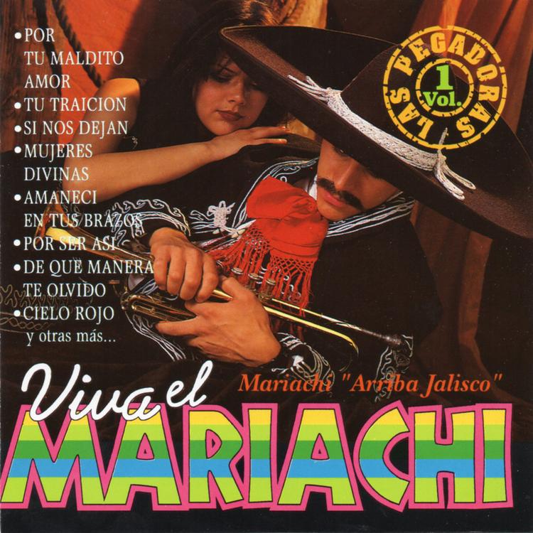 Mariachi Arriba Jailsco's avatar image