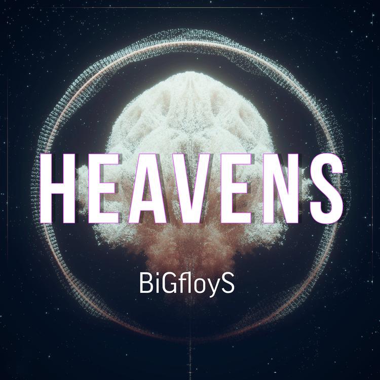 BiGfloyS's avatar image