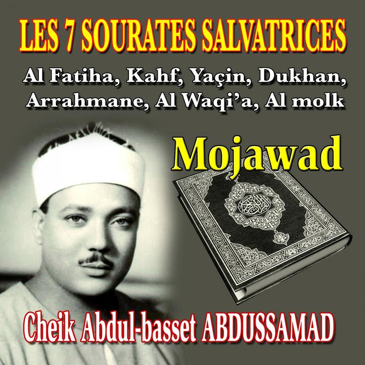 Cheik Abdul-basset Abdussamad's avatar image