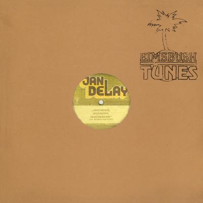 Irgendwie, Irgendwo, Irgendwann (Instrumental) By Jan Delay, Dennis Dubplate's cover