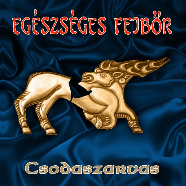 Egészséges Fejbőr's avatar image