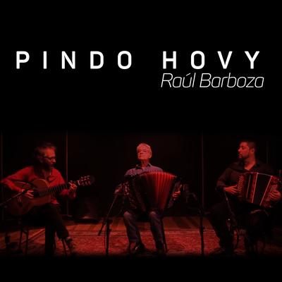 Pindo Hovy (Ao Vivo)'s cover