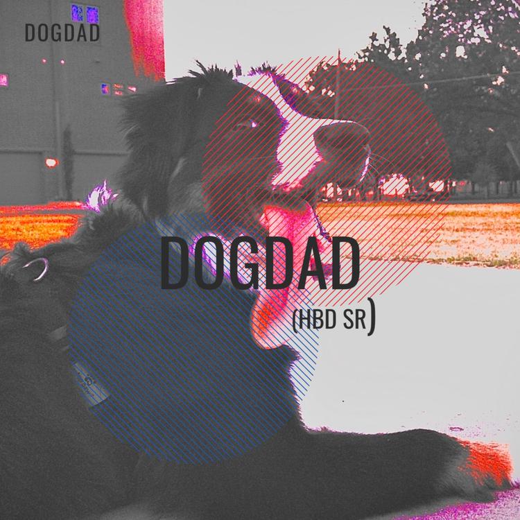 DogDad's avatar image