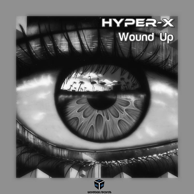 Hyper-X's avatar image