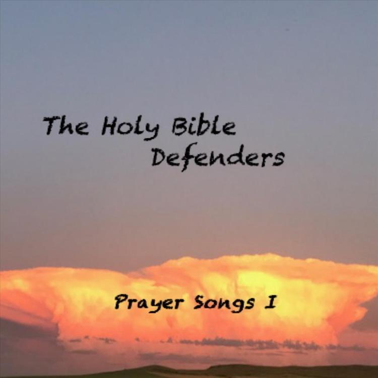 Th Holy Bible Defenders's avatar image