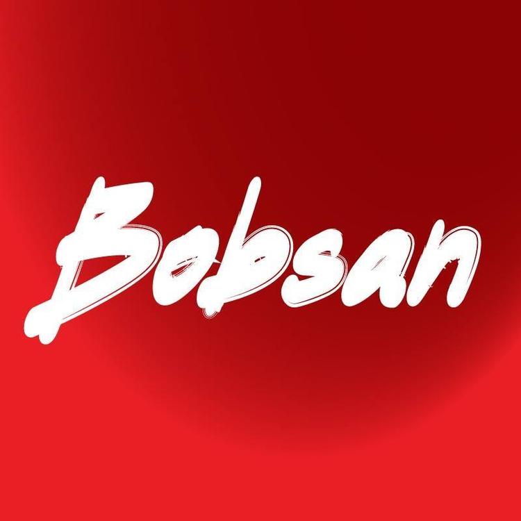 Bobsan's avatar image