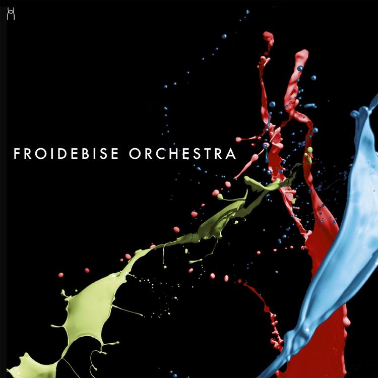 Froidebise Orchestra's avatar image