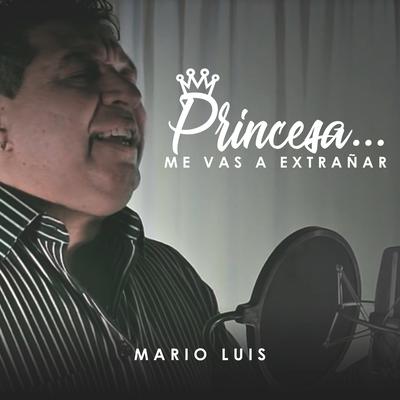 Princesa Me Vas a Extrañar's cover