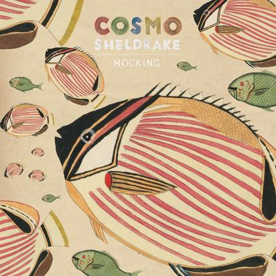 Solar Waltz By Cosmo Sheldrake's cover