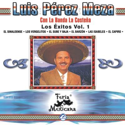 Luis Pérez Meza Con La Banda La Costeña - Los Éxitos Vol. 1 - Feria Mexicana's cover