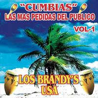 Los Brandys USA's avatar cover