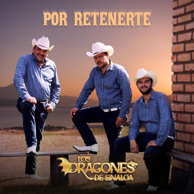 Los Dragones de Sinaloa's avatar image